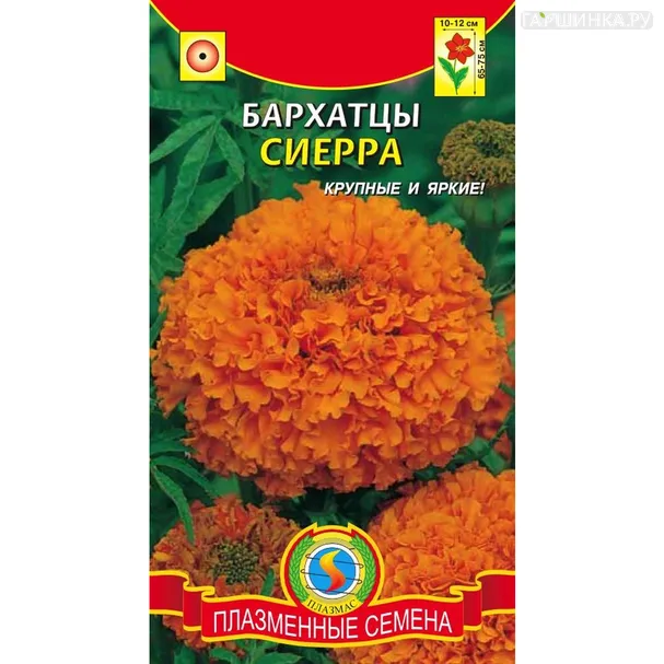 Бархатцы Сиерра 45 шт, Плазменные семена