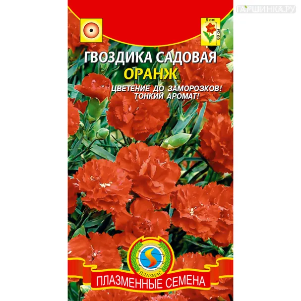 Гвоздика Оранж садовая 0,1 г, Плазменные семена