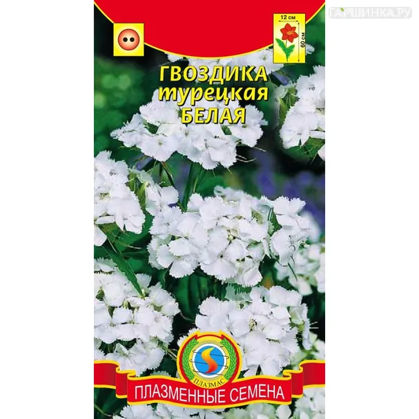 Гвоздика турецкая Белая 0,2 г, Плазменные семена