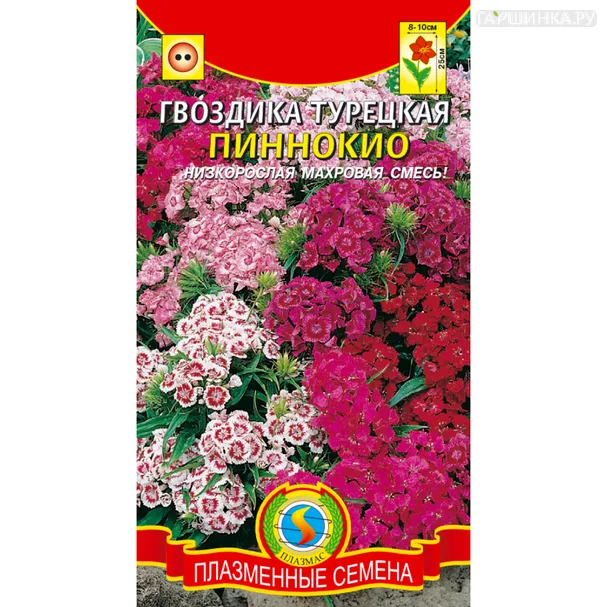 Гвоздика турецкая Пиннокио 0,2 г, Плазменные семена