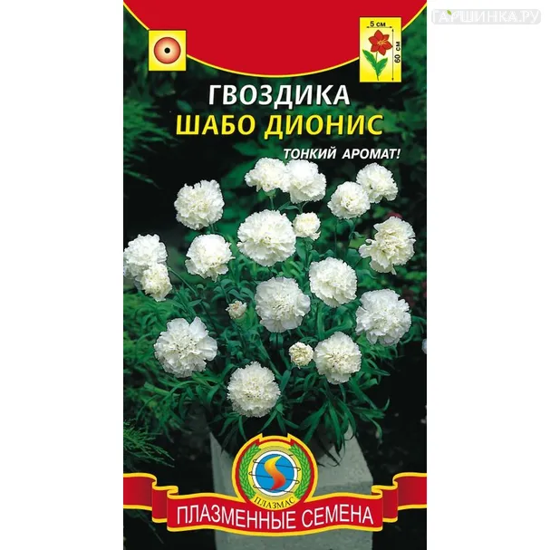 Гвоздика садовая Шабо Дионис 0,1 г, Плазменные семена