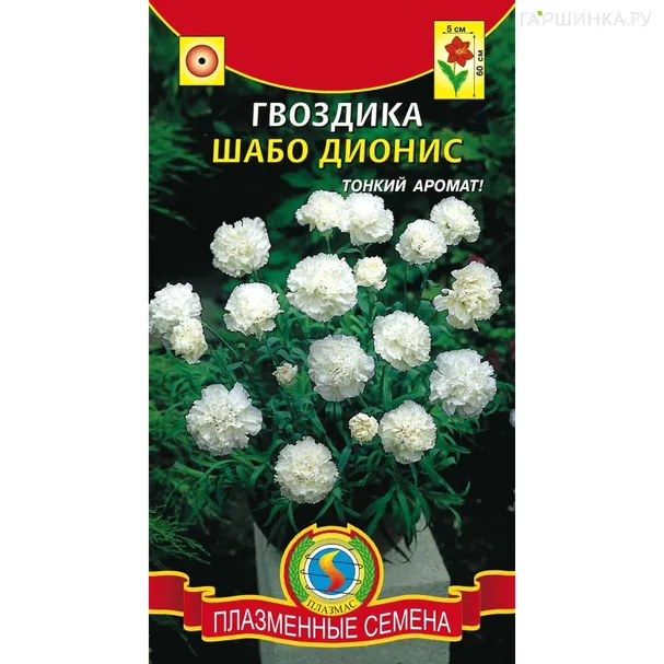 Гвоздика садовая Шабо Дионис 0,1 г, Плазменные семена