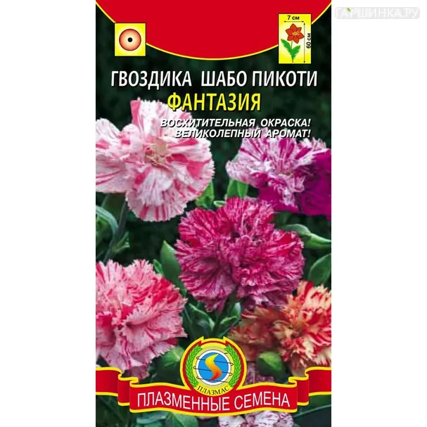 Гвоздика садовая Шабо Пикоти Фантазия 0,1 г, Плазменные семена