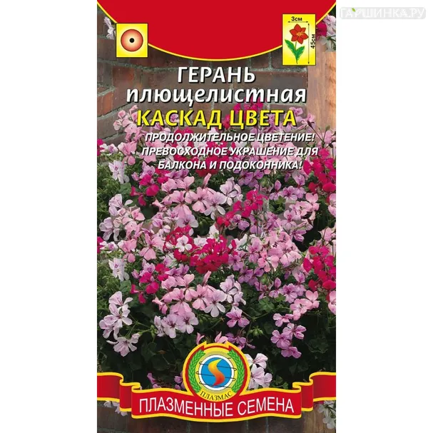 Герань Каскад Цвета плющелистная 3 шт, Плазменные семена