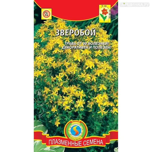 Зверобой 0,045 г, Плазменные семена
