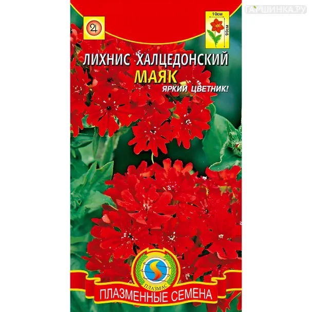 Лихнис Халцедоника Маяк 0,1 г, Плазменные семена