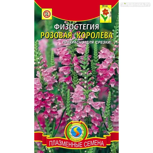 Физостегия Розовая Королева 10 шт, Плазменные семена