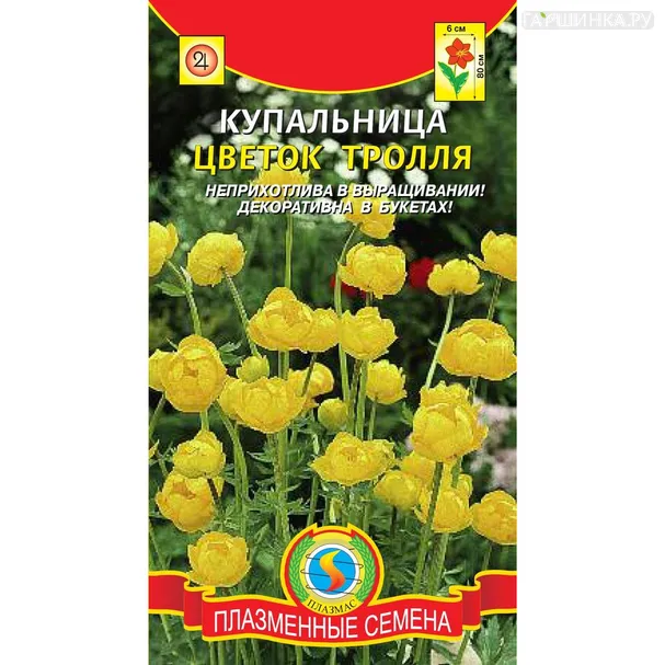 Купальница Цветок Тролля 20 шт, Плазменные семена