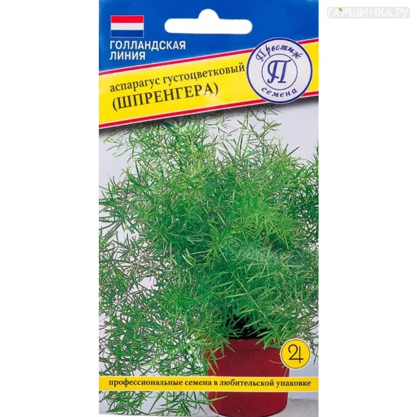Аспарагус густоцветковый (Шпренгера) 5 шт, Семена Престиж