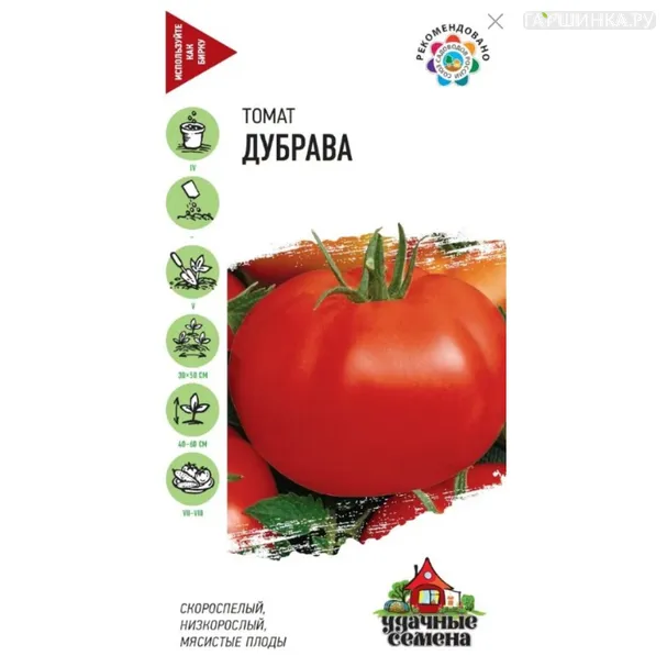 Томат Дубрава 0,2 г, Семена Гавриш