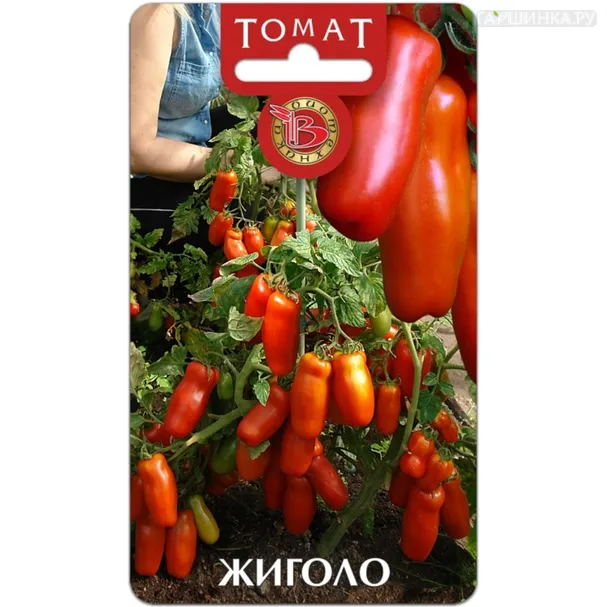 Томат Жиголо ЦП 12 штук, Семена Биотехника