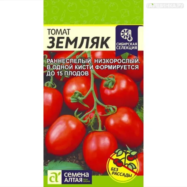 Томат Земляк ЦП 0,05 г, Семена Алтая