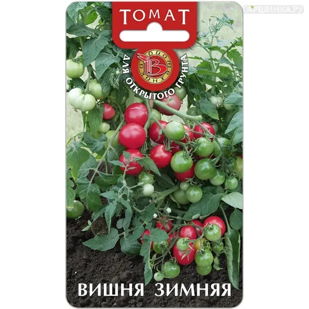 Томат Зимняя вишня ЦП, Семена Биотехника