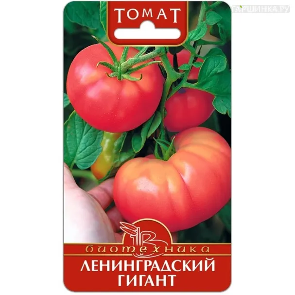 Томат Ленинградский гигант 25 шт ц/п,крупноплодный, Семена Биотехника