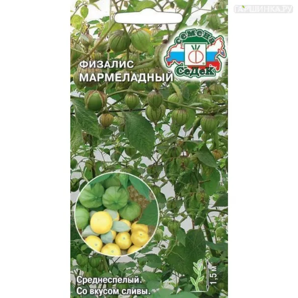 Физалис Мармеладный ц/п 0,1 г, Семена Седек