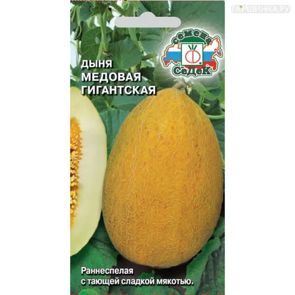 Дыня Медовая гигантская F1 0,5 г ц/п, Семена Седек