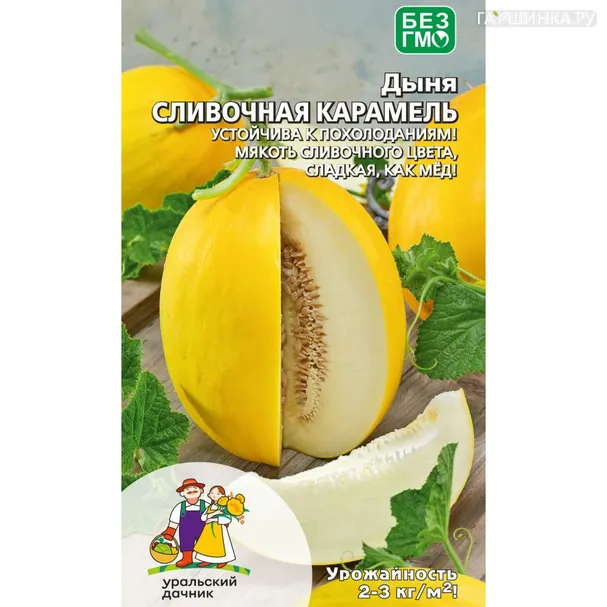 Дыня Сливочная карамель ц/п Уральский Дачник, Семена Марс