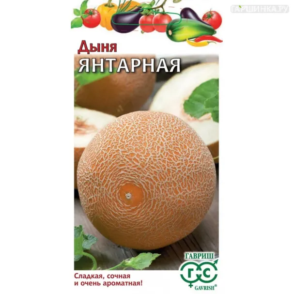 Дыня Янтарная ц/п 1 г, Семена Гавриш