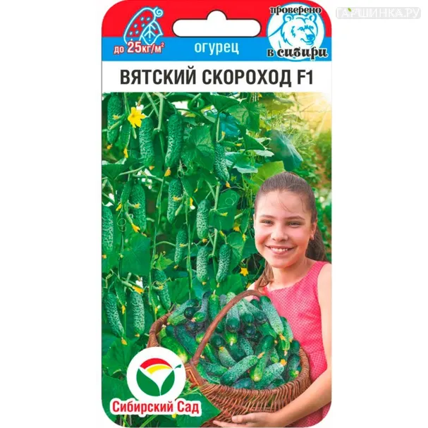 Огурец Вятский скороход ц/п 6шт, Семена Сибирский сад