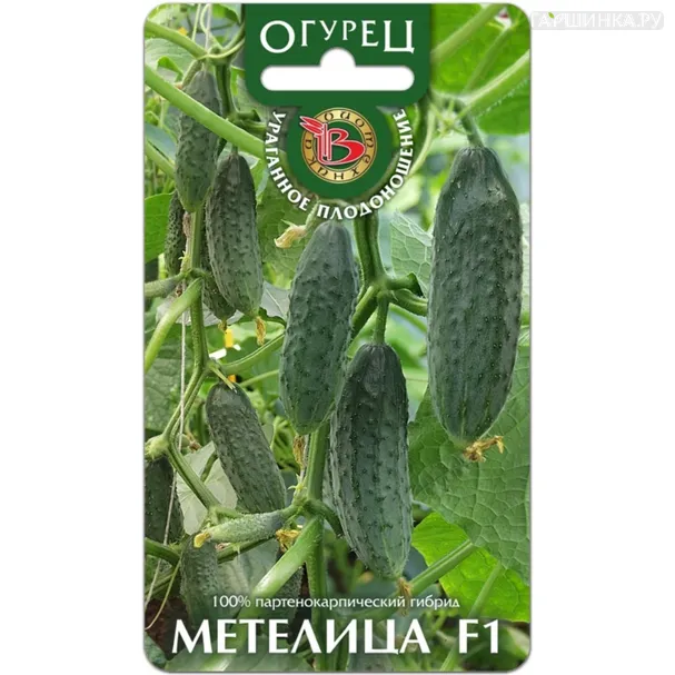 Огурец Метелица F1 ц/п 8 шт, Семена Биотехника