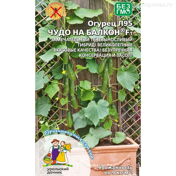 Огурец Чудо балкон (корнишон) F1 ц/п Уральский дачник, Семена Марс