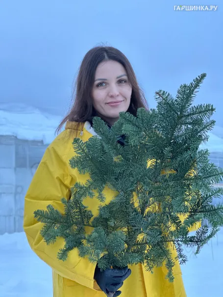 Нобилис (ветка пихты) большая 70 см