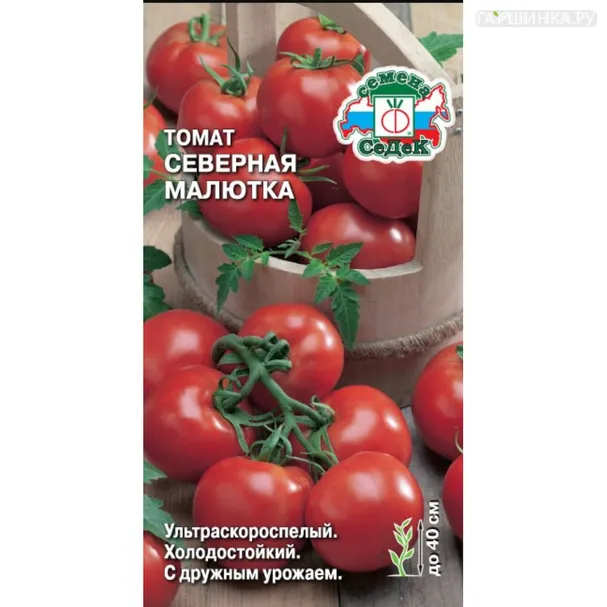 Томат Северная Малютка ц/п 0,1 г. Семена Седек
