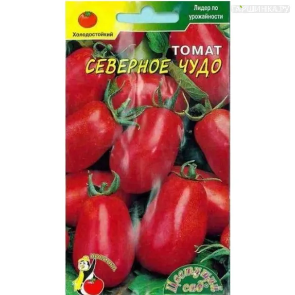 Томат Северное Чудо ц/п 0,1 г, Семена Цветущий Сад