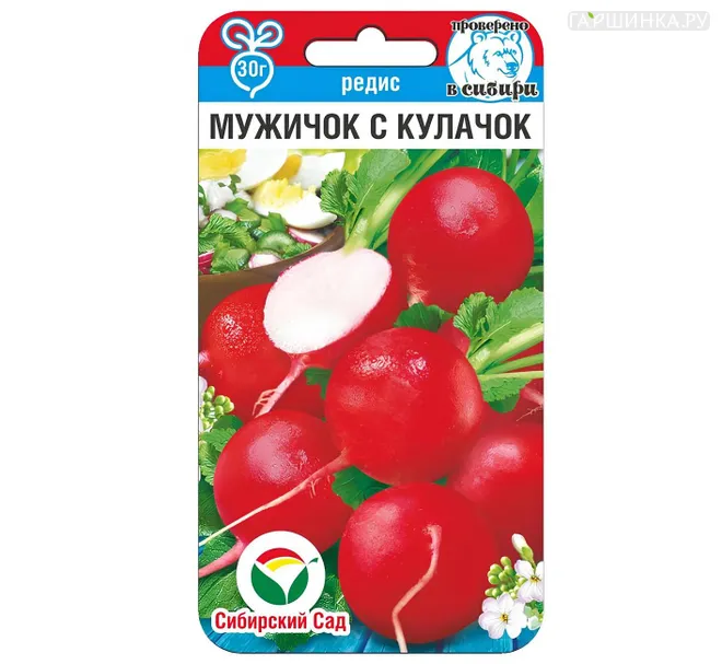 Редис Мужичок с кулачок ц.п 2 г. Семена Сибирский Сад