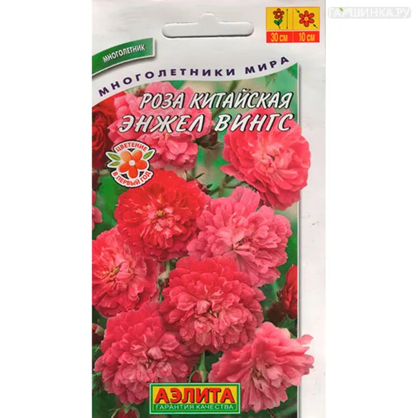 Роза Энжел Вингс китайская ц/п 10 шт, Семена Аэлита