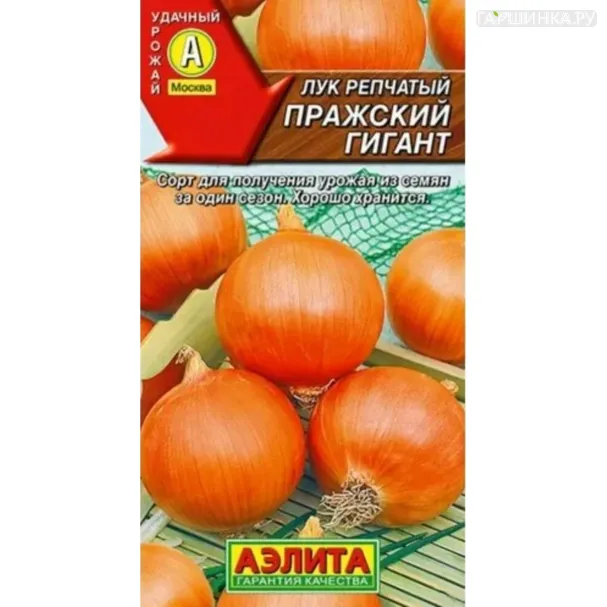Лук репчатый Пражский гигант ц/п 0,2 г, Семена Аэлита