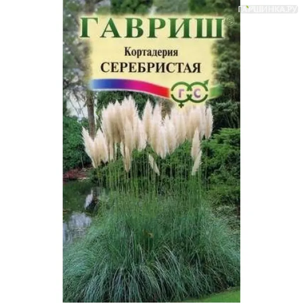 Кортадерия (Пампасная трава) Серебристая ц/п 0,01 г,  Семена Гавриш