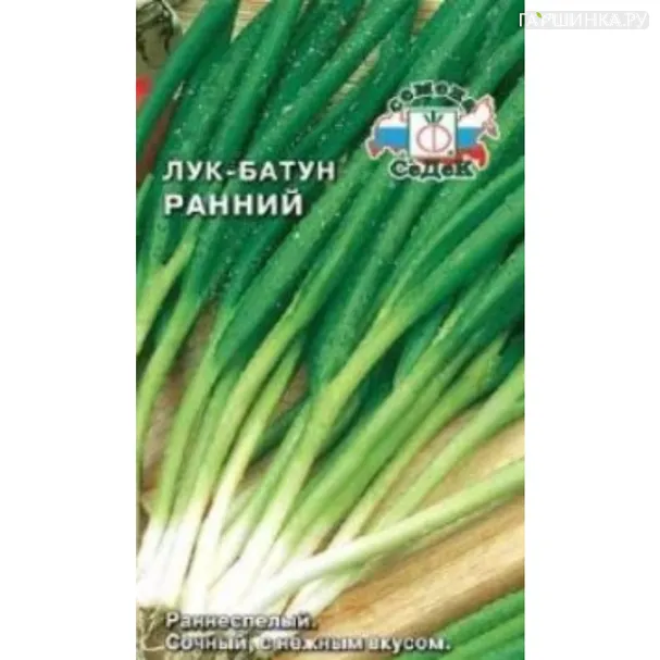 Лук батун Ранний ц/п 1 г, Семена Седек