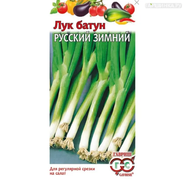 Лук батун Русский зимний ц/п 0,5 г, Семена Гавриш