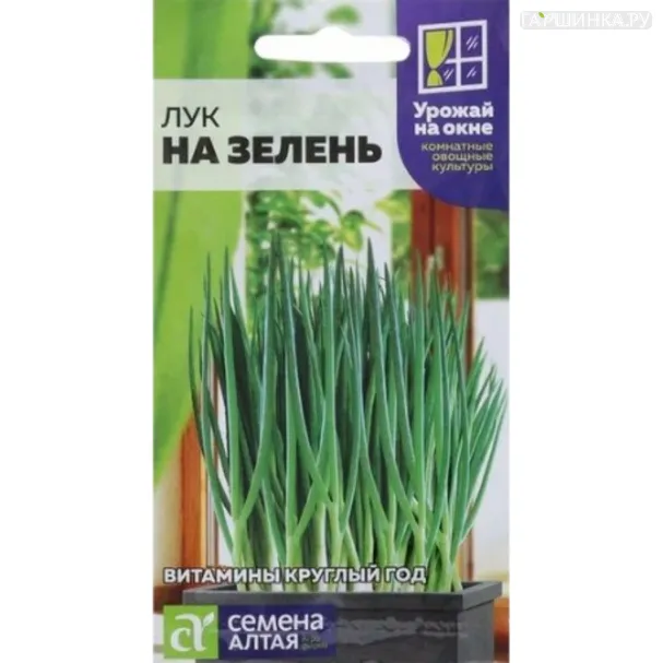 Лук на Зелень ц/п 0,5 г, Семена Алтая