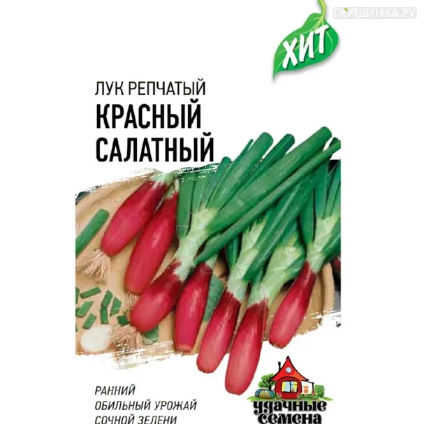 Лук на зелень Красный салатный (репчатый) 0,5 г, Семена Гавриш