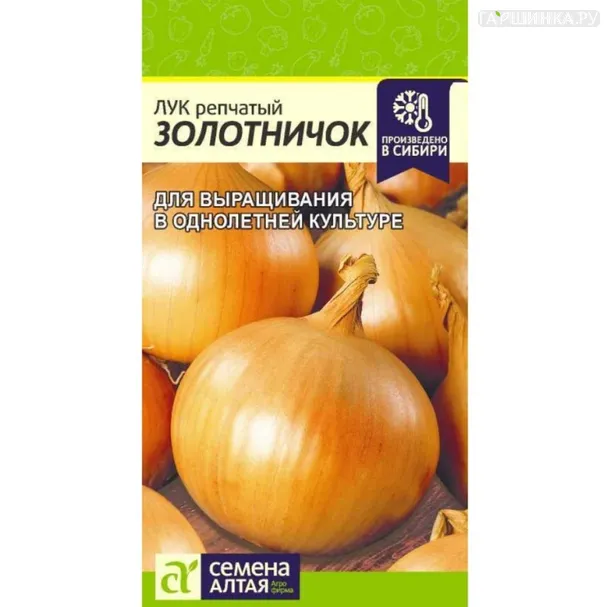 Лук Золотничок репчатый ц/п 0,5 г, Семена Алтая