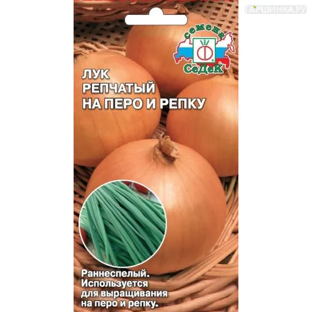 Лук На перо и репку репчатый ц/п, Семена Седек