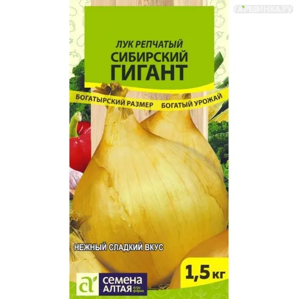 Лук Сибирский Гигант репчатый ц/п 0,2 г, Семена Алтая