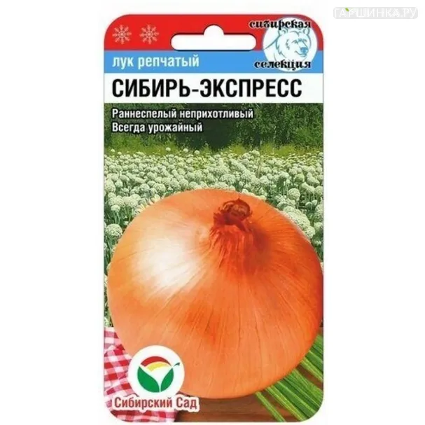 Лук Сибирь-экспресс репчатый  ц/п 1 г, Семена Сибирский сад