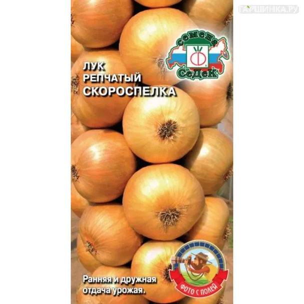 Лук Скороспелка репчатый ц/п, Семена Седек