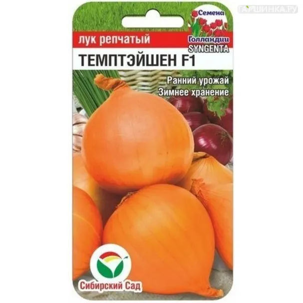 Лук Темптэйшен репчатый F1 ц/п 100шт, Семена Сибирский сад