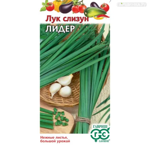 Лук слизун Лидер ц/п 0,5 г, Семена Гавриш