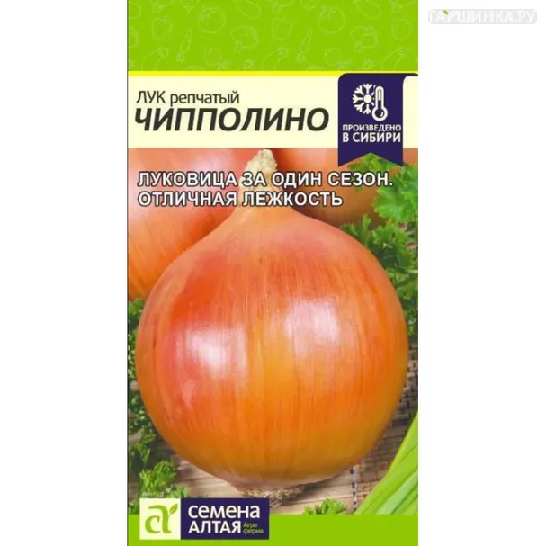 Лук Чипполино репчатый ц/п 0,5 г, Семена Алтая