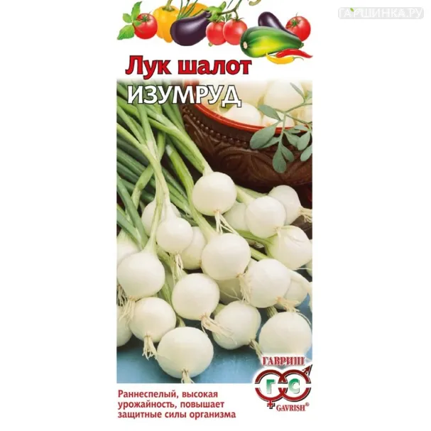 Лук шалот Изумруд ц/п 0,1 г, Семена Гавриш