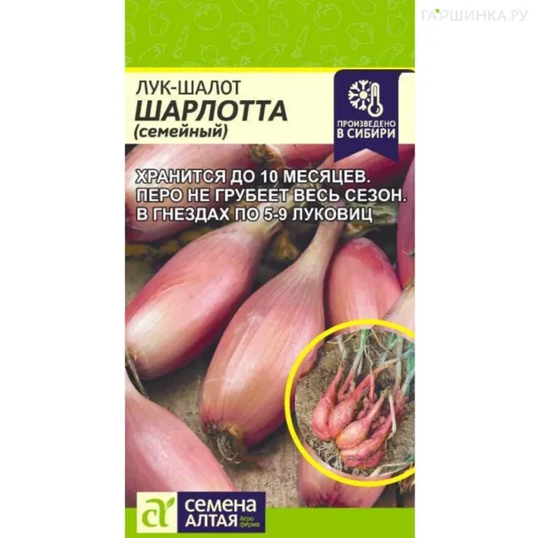 Лук шалот Шарлотта ц/п 0,3 г, Семена Алтая