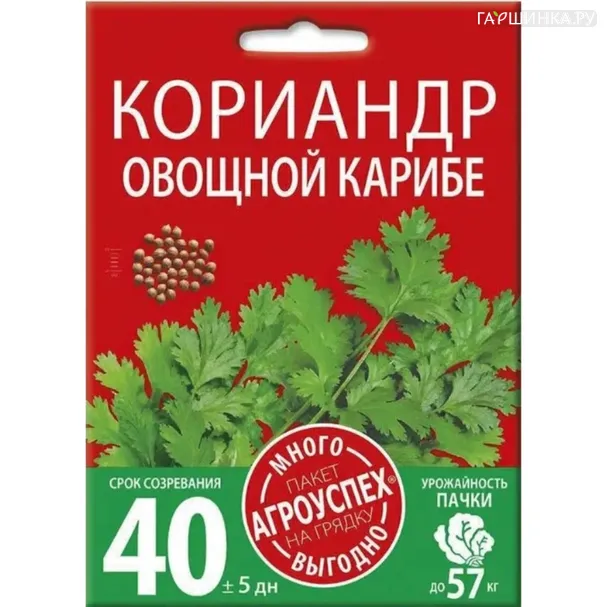 Кинза (Кориандр) Карибе овощной ц/п 15 г, Семена Агроуспех