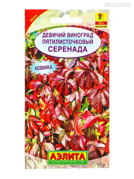 Виноград девичий Серенада ц/п 10 шт, Семена Аэлита