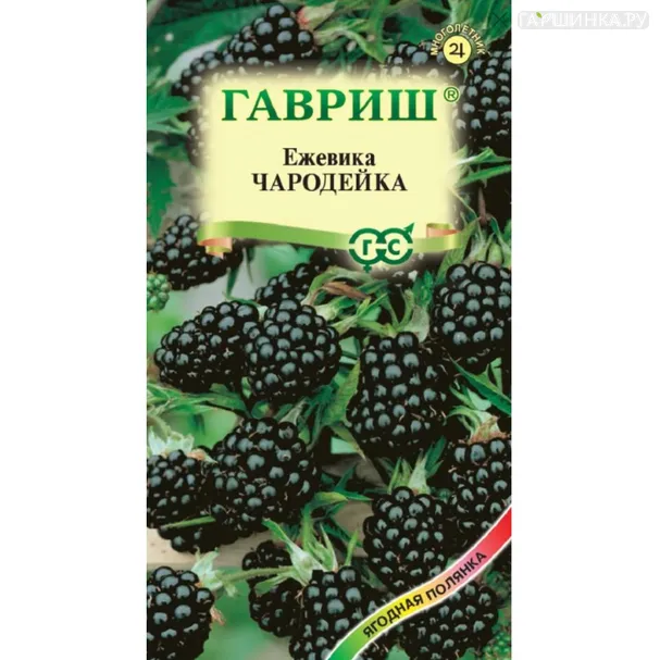 Ежевика Чародейка ц/п 10 шт, Семена Гавриш