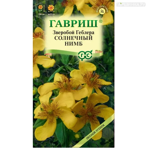 Зверобой Геблера Солнечный нимб 0,01 г, Семена Гавриш